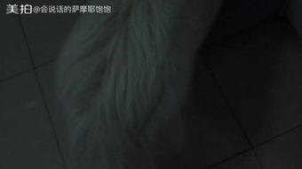 吃瓜怎么做小苹果视频,轻松制作小苹果短视频教程