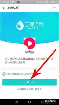 吃瓜聊天技巧视频教程大全,视频教程大全解析