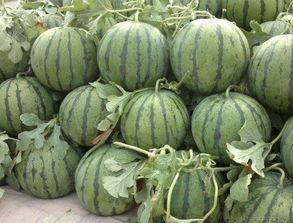 陕西咸阳吃瓜事件视频,一场引发热议的街头冲突瞬间