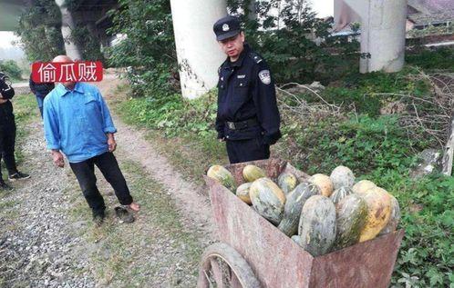 文安县吃瓜事件真相视频,真相视频曝光背后的真相