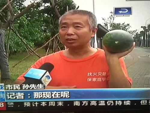 七个吃瓜群众事件视频,揭秘网络舆论场上的众生相