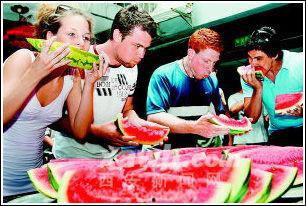 外国人吃瓜视频,趣味横生的社交现象揭秘