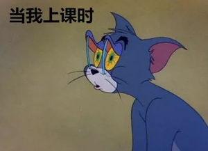 吃瓜心情的视频,跟随吃瓜心情，畅游视频娱乐世界