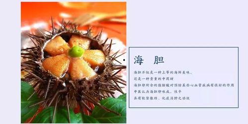 黑色海瓜怎么吃最好吃视频,视频教你最佳食用方法