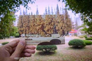 南通大学长椅吃瓜视频,校园生活趣味横生