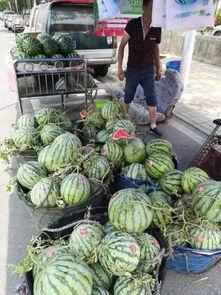 邛崃吃瓜事件视频最新,一场网络热议背后的真相揭秘