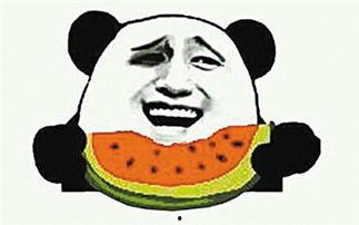 星球动画吃瓜群众视频大全