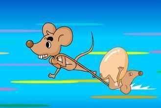 感冒吃老鼠瓜好不好呀视频,感冒期间食用老鼠瓜的利弊分析