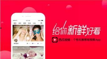 吃瓜头条现场视频下载免费,独家揭秘幕后真相