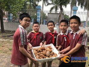 校园吃瓜集市事件视频大全,视频大全揭秘校园生活趣味瞬间