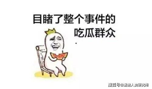 每日吃瓜搞笑视频素材