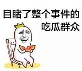 带你吃瓜解说动画片视频,揭秘动画片背后的精彩故事